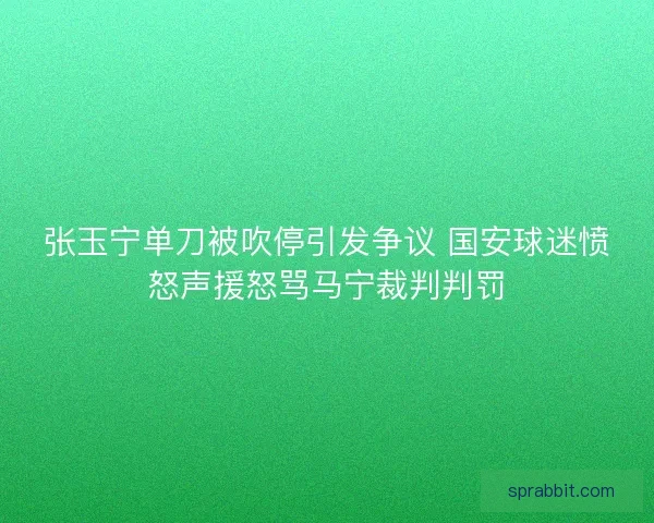 张玉宁单刀被吹停引发争议 国安球迷愤怒声援怒骂马宁裁判判罚