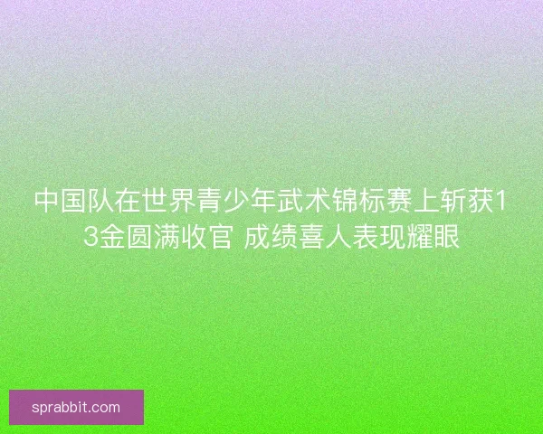 中国队在世界青少年武术锦标赛上斩获13金圆满收官 成绩喜人表现耀眼