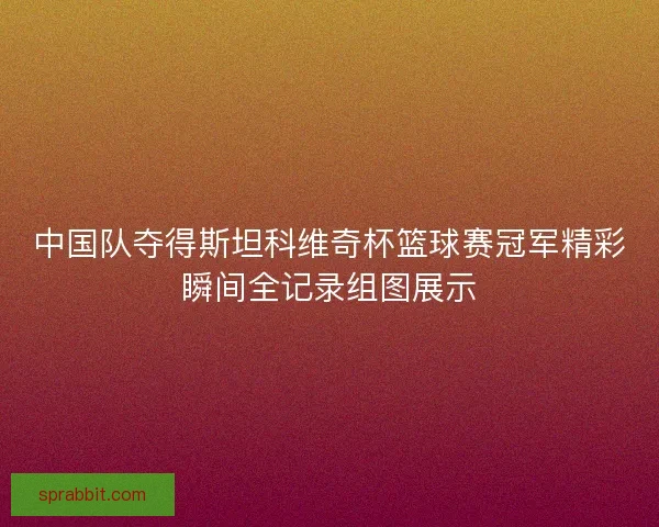 中国队夺得斯坦科维奇杯篮球赛冠军精彩瞬间全记录组图展示